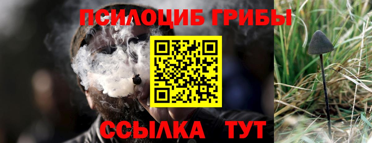 Оренбург  дарнет шоп  Вход с VPN  Галлюциногенные грибы Cubensis 
